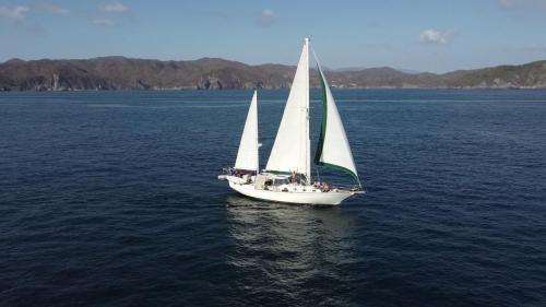 volare-sailing-jason-waving